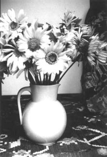 Sunflowers, 1989