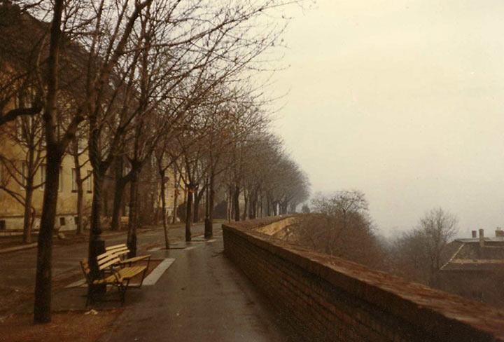 Buda Winter, 1984