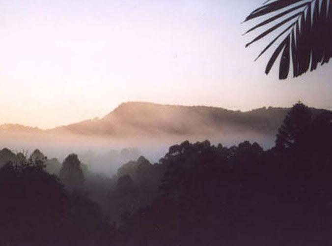 Morning Mist, Sunshine Coast Australia, 2005